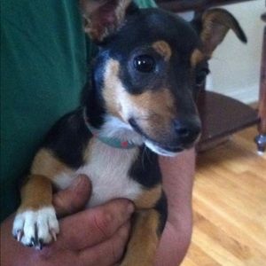 Meet your Posher, Brooke